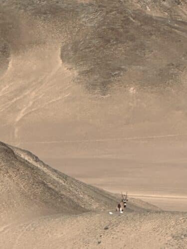 skeleton coast national park namibia danica trip 2023