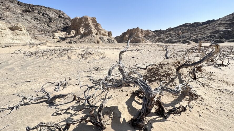 skeleton coast national park namibia danica trip 2023