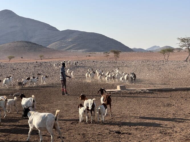 Visiting a himba village from Hoanib Valley Camp Kaokoland with Natural Selection Travel Danica Wilson 2023