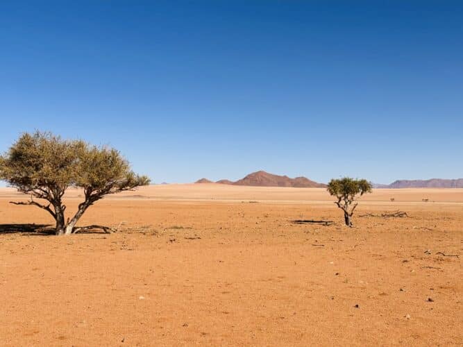 17 things you need to know about going on a self-drive holiday in Namibia