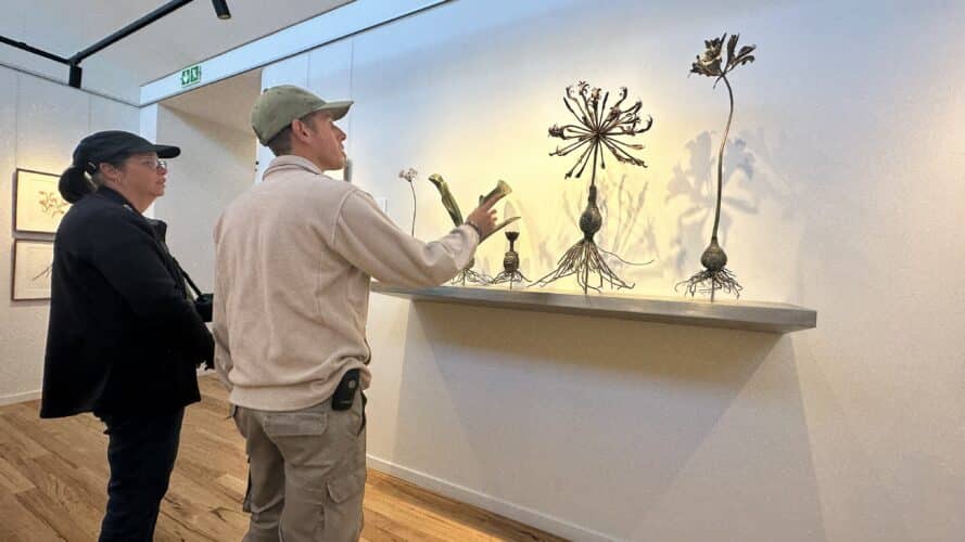 Grootbos nature researve Florilegium