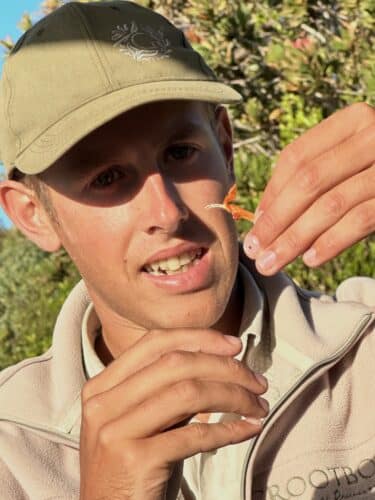 Grootbos nature researve Florilegium