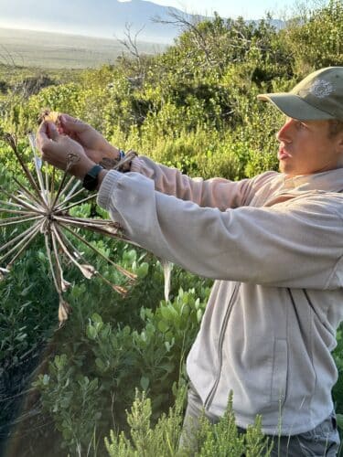 Grootbos Nature Reserve by Danica Wilson 2023