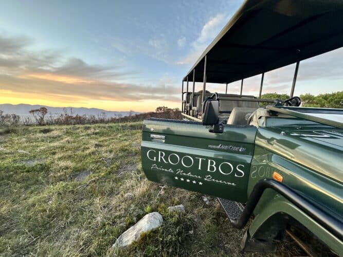 Grootbos Nature Reserve by Danica Wilson 2023 vehicle on fynbos safari