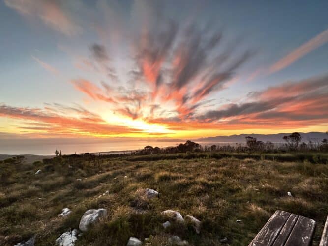 Sunset fynbos drive Grootbos Nature Reserve by Danica Wilson 2023