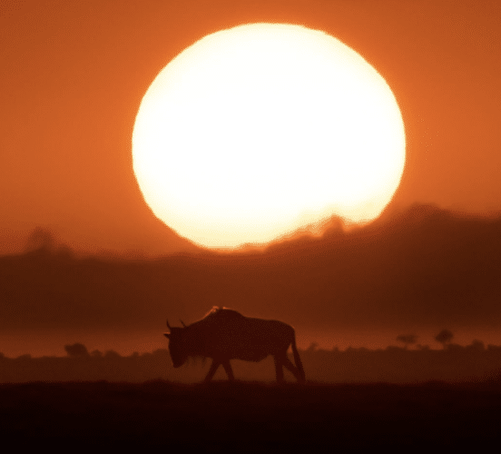 sunset Matt Yardley Encompass Africa Collections
